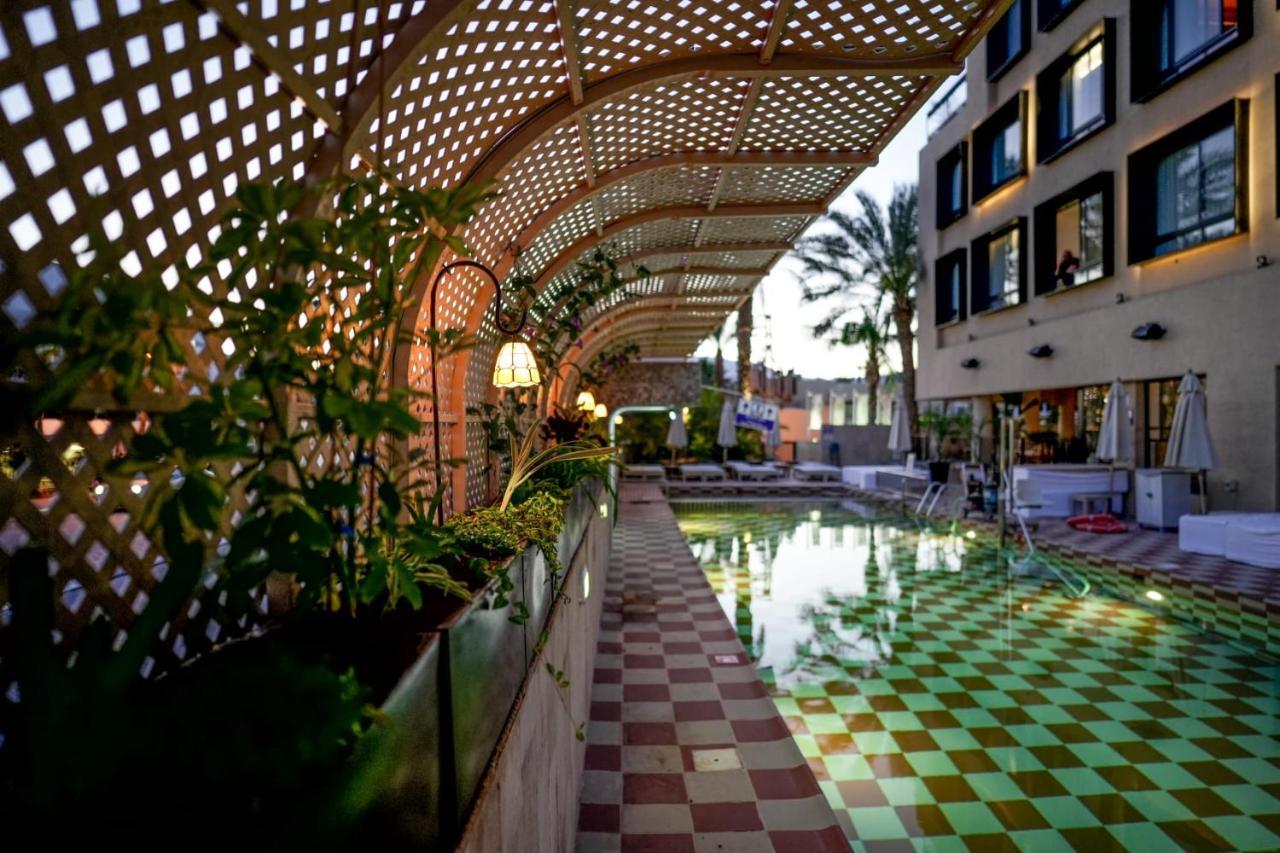 Brown Eilat