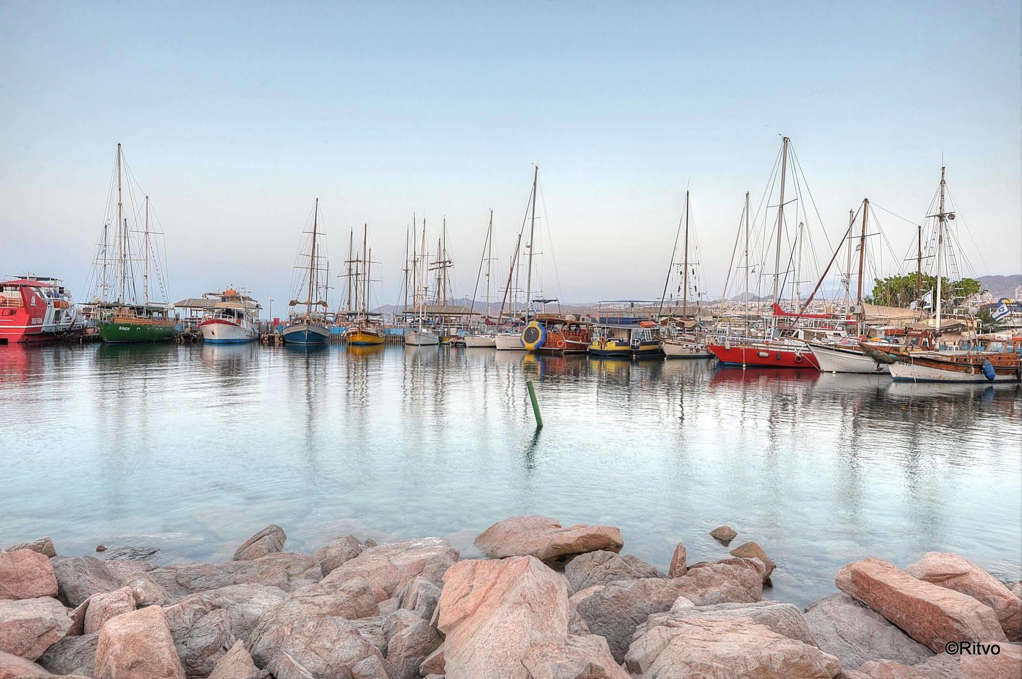 Brown 4* Eilat