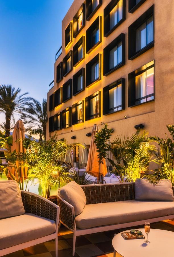Brown Eilat