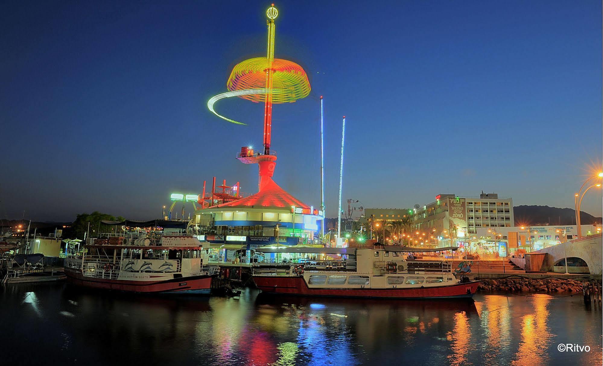 Brown Eilat
